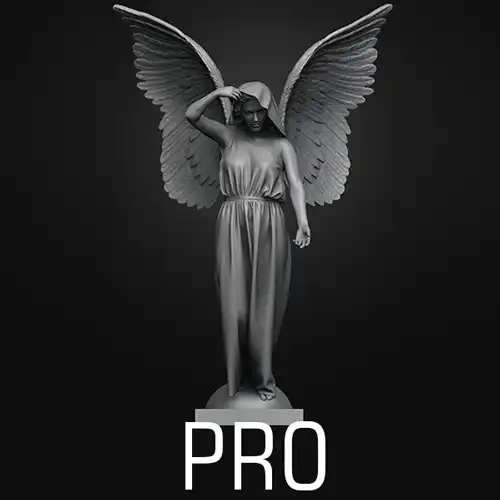 Pro